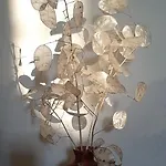 Casa Adua * Доноратико
